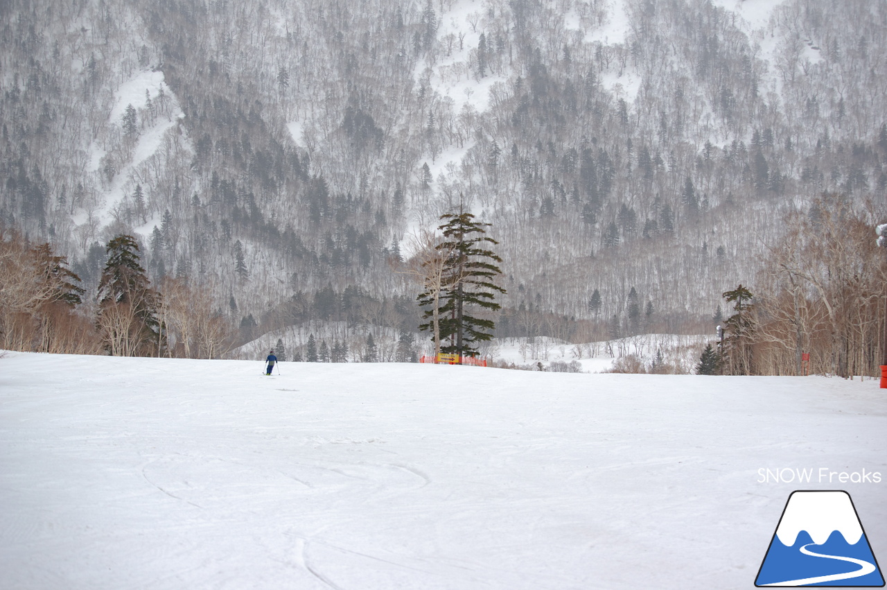 札幌国際スキー場｜山頂の積雪は、300cm！連日の春スキー＆スノーボード日和から一転、今日は冬が帰ってきました♪